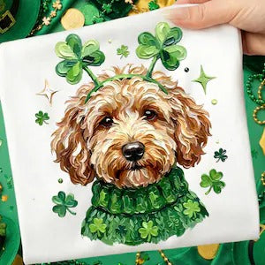 St Patrick Dog Transfer